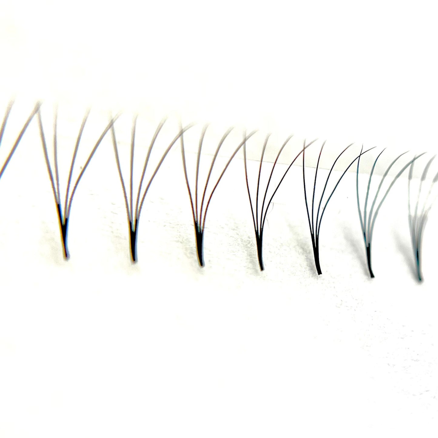 4D PRO MADE | 840 bouquets préfaits - Rastelli Paris