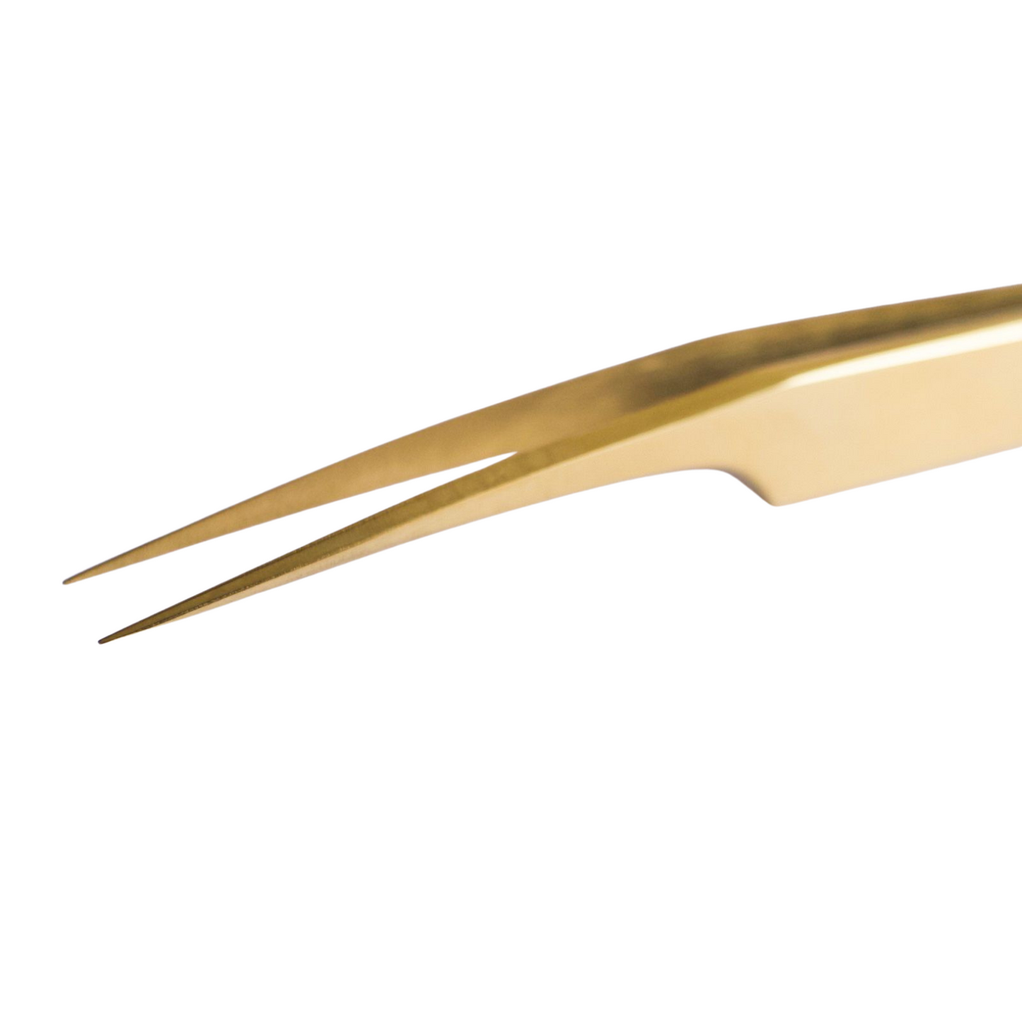 Pince semi droit P3 - Rastelli Paris