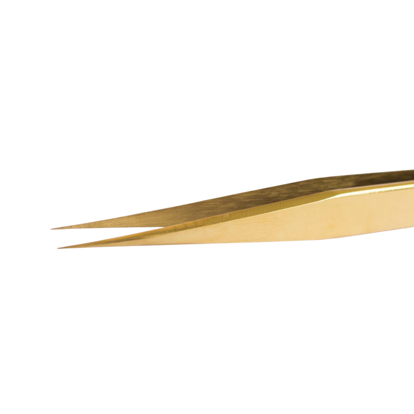 Pince droit P5 - Rastelli Paris