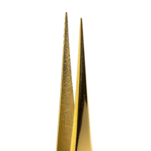 Pince droit P5 - Rastelli Paris