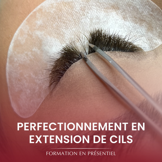 Formation perfectionnement en extension de cils
